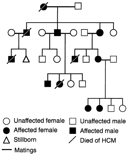 genetic pedigree featuring HCM